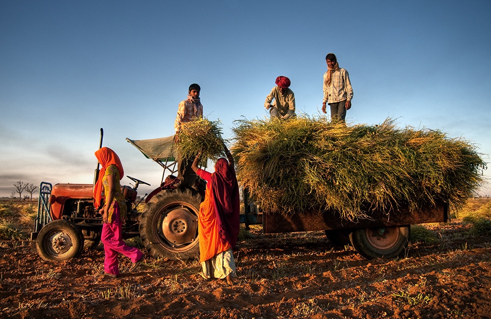 Elements of Kerala - Earth