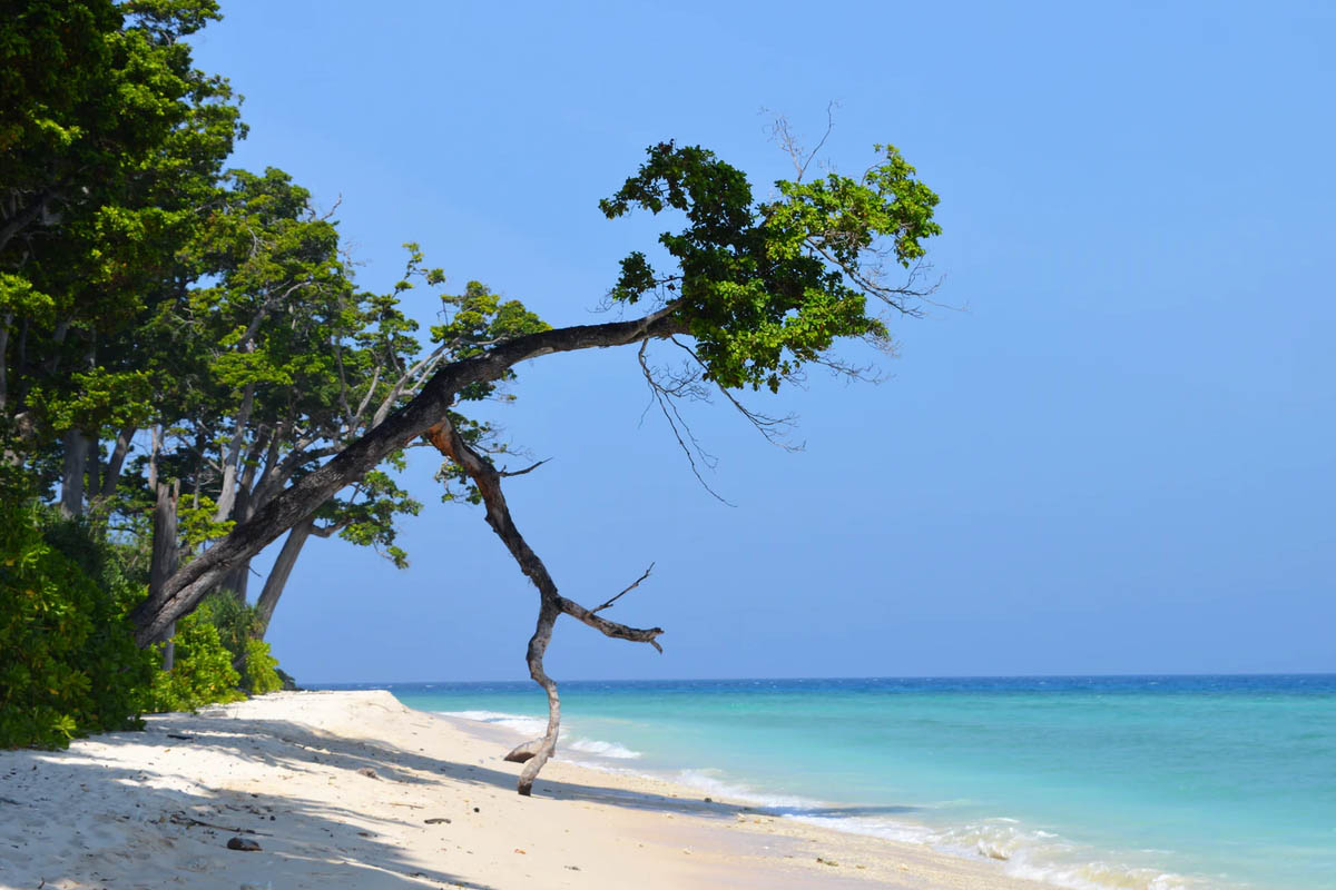 Coromandel Coast & Andamans