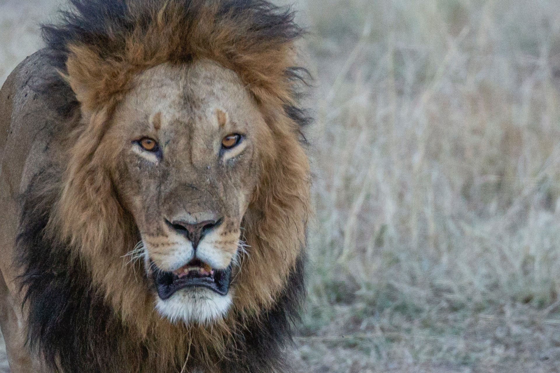 Glimpses of Gujarat Tour