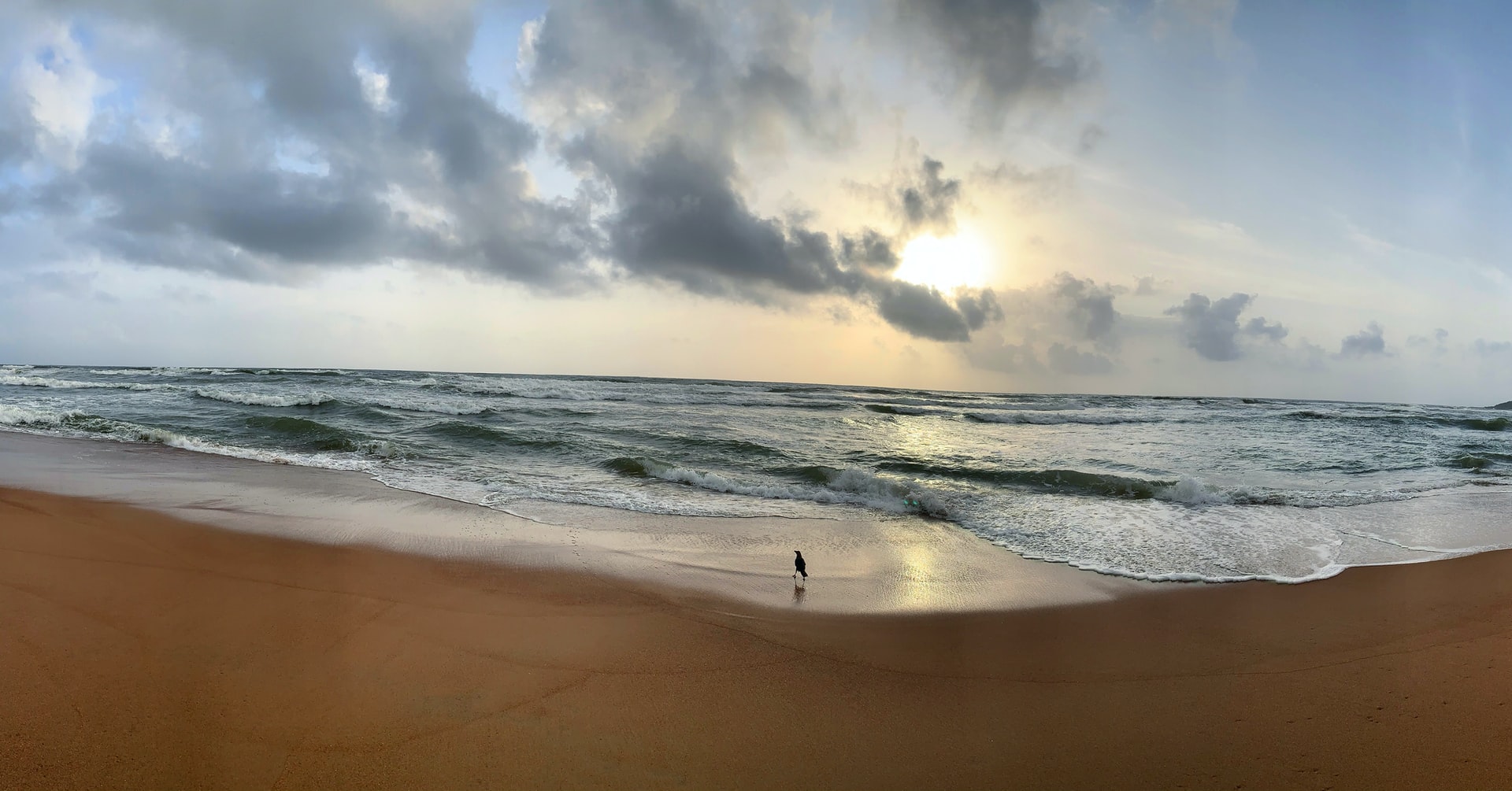 Goa South