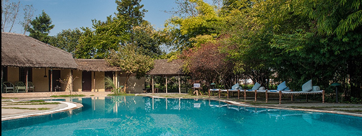 Jims Jungle retreat - pool