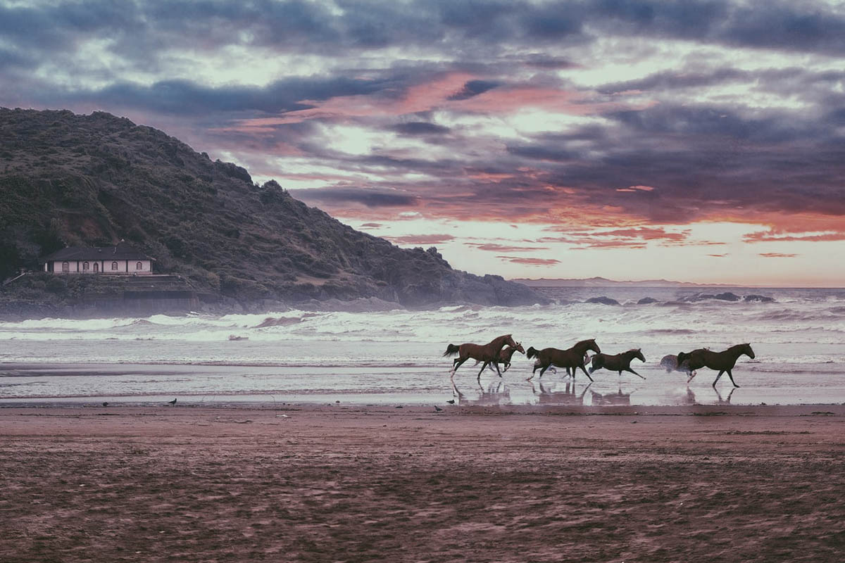 Karnataka - Gokarna, India Connections