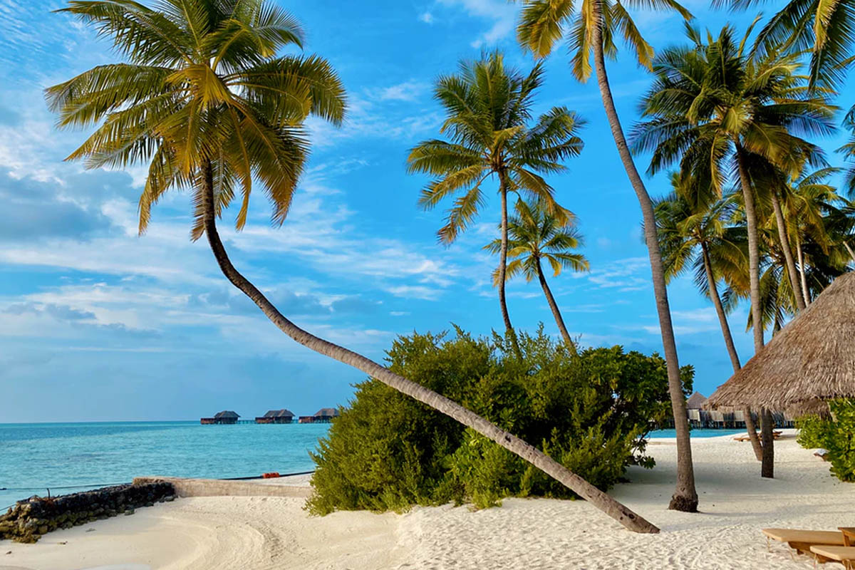 Kerala and Maldives - Mid Range Tour