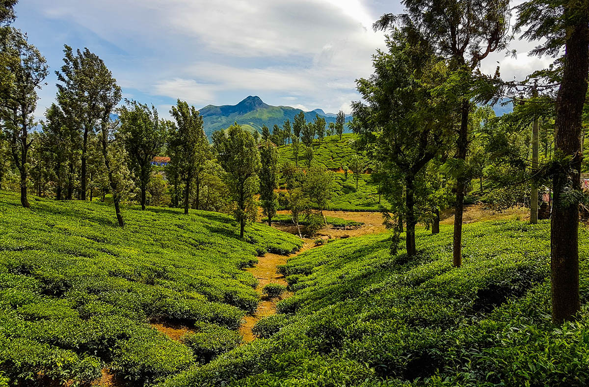Tamil Nadu, India featured