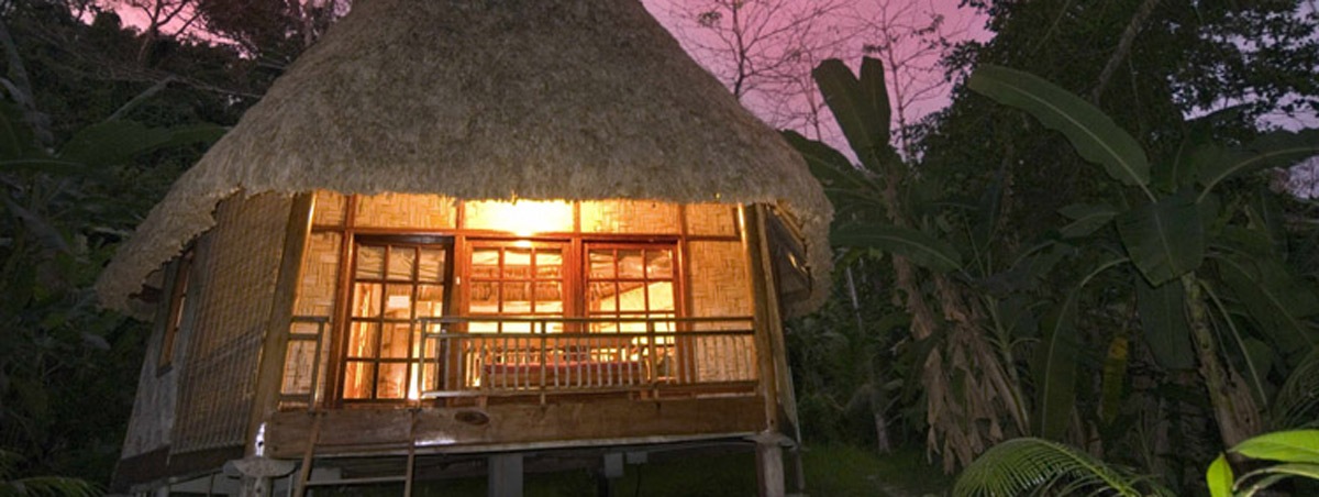 Barefoot at Havelock - Tree House