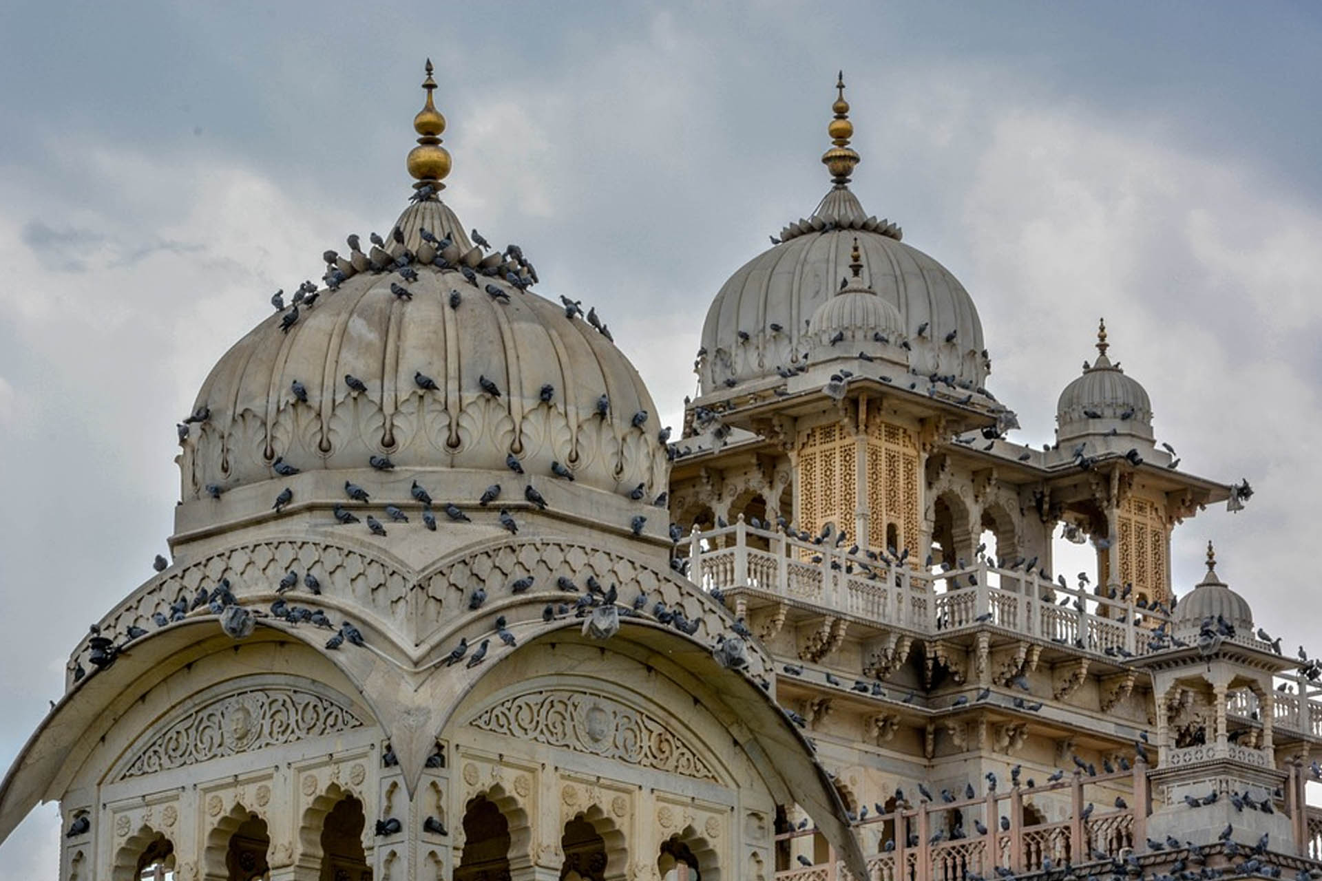 Classic Golden Triangle - Top Range