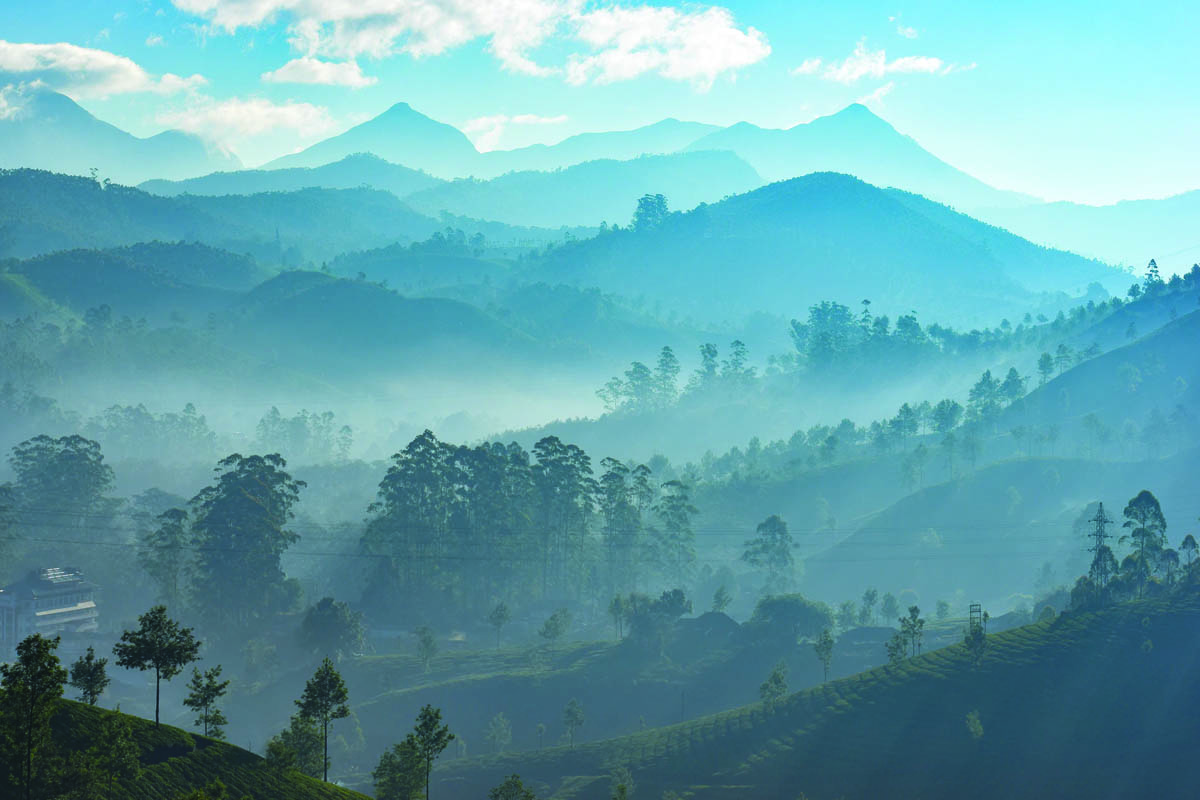 Classic Kerala Economy