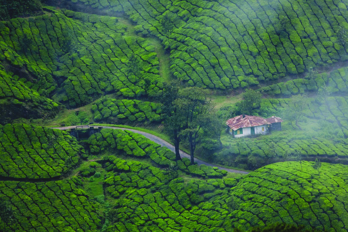 Hidden Gems of Kerala