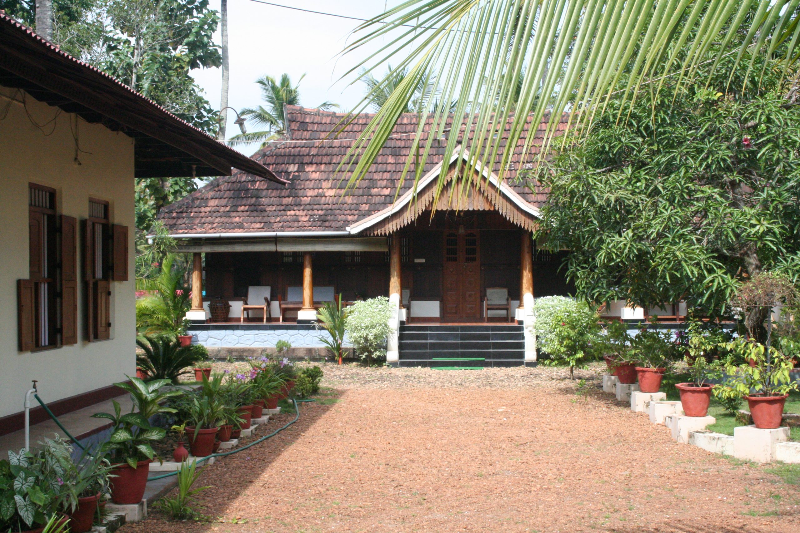 Nelpura - Backwaters