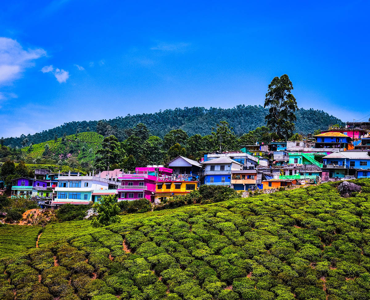 Munnar - Kerala - Icon