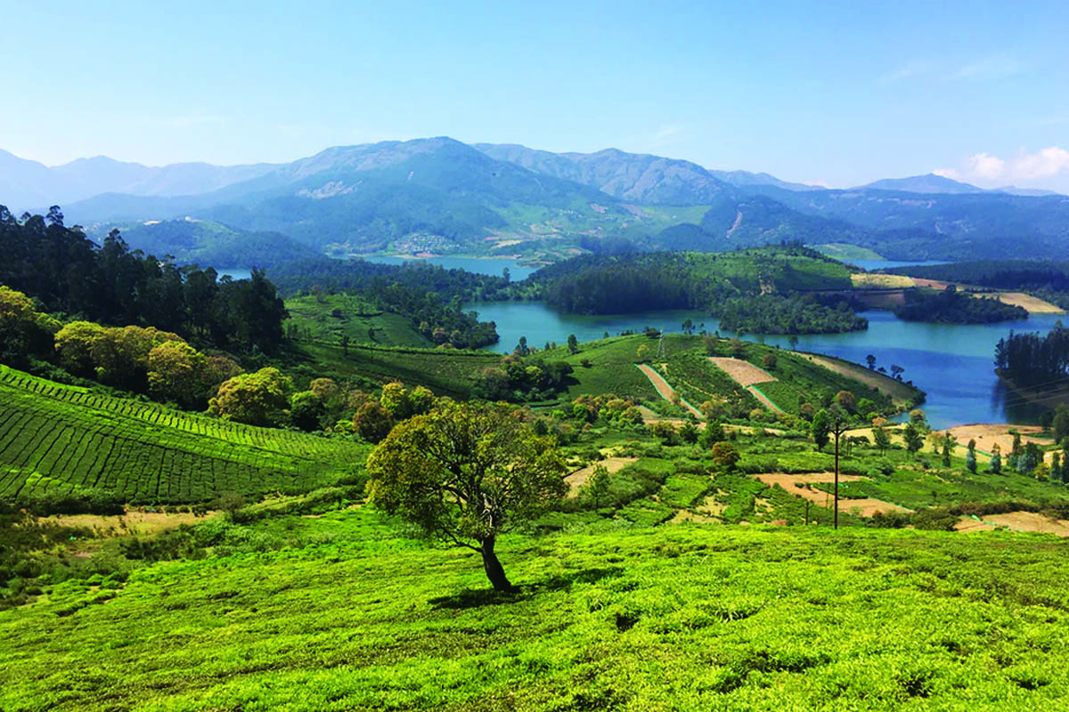 Navigate the Nilgiris