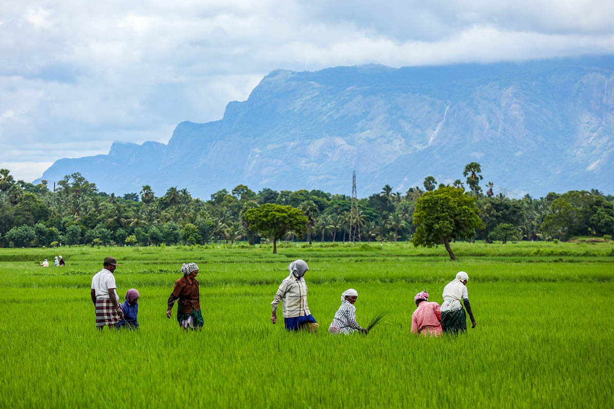 Rural and Remote - Kerala people
