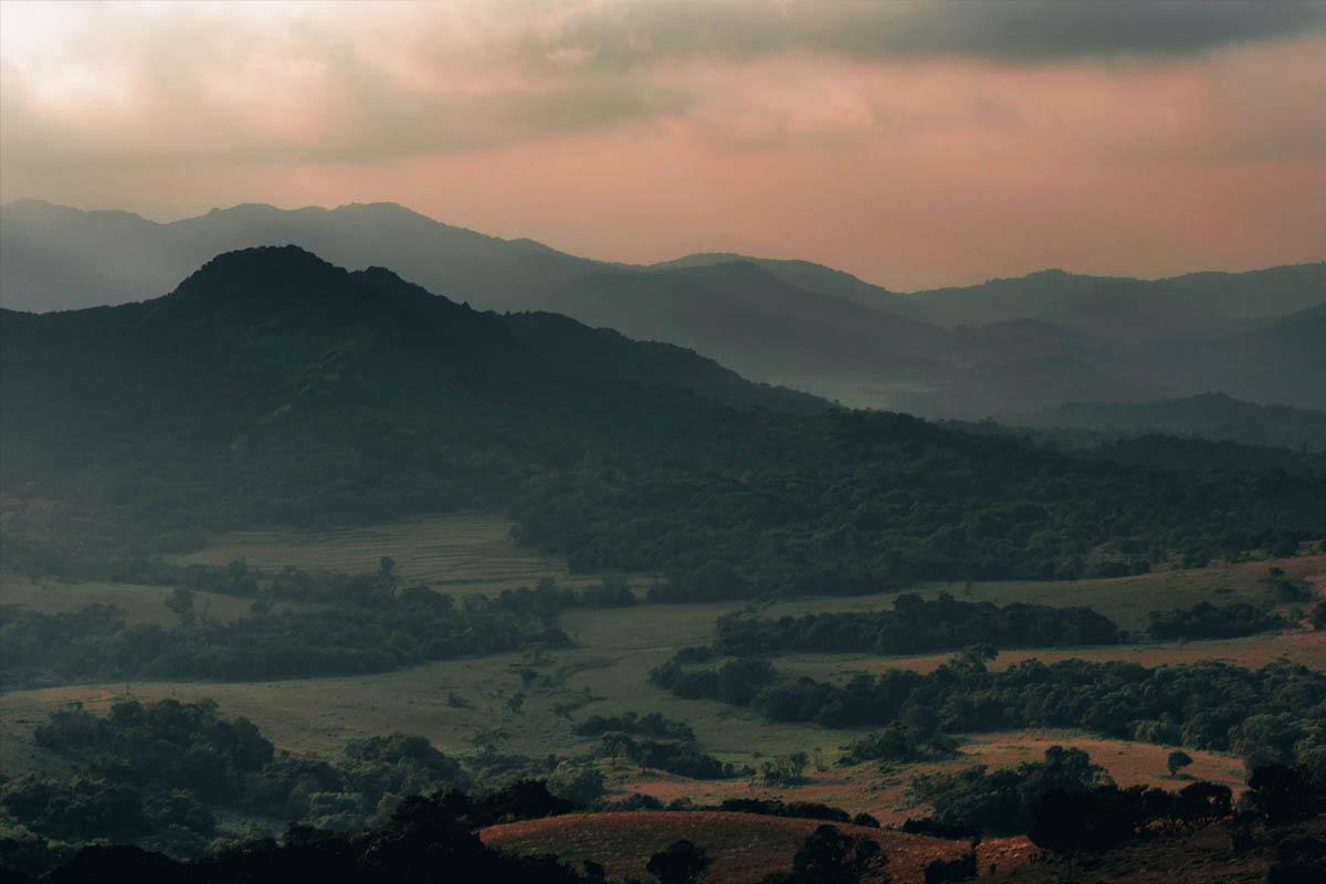 Coorg, Karnataka, India - Featured