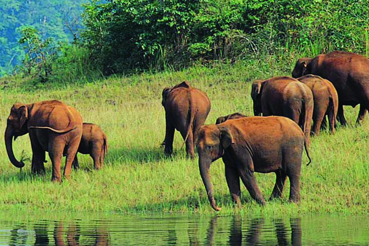 Golden Triangle and Kerala