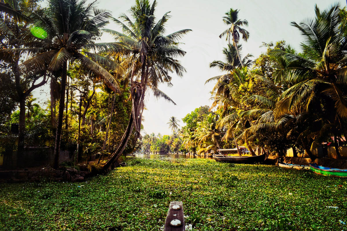Kerala and Maldives - Top-Range