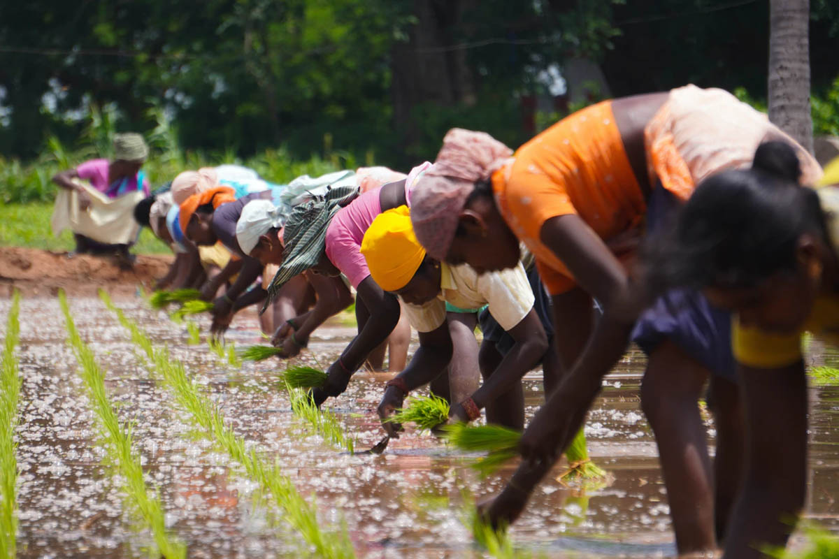 Rural and Remote - Tamil Nadu - India