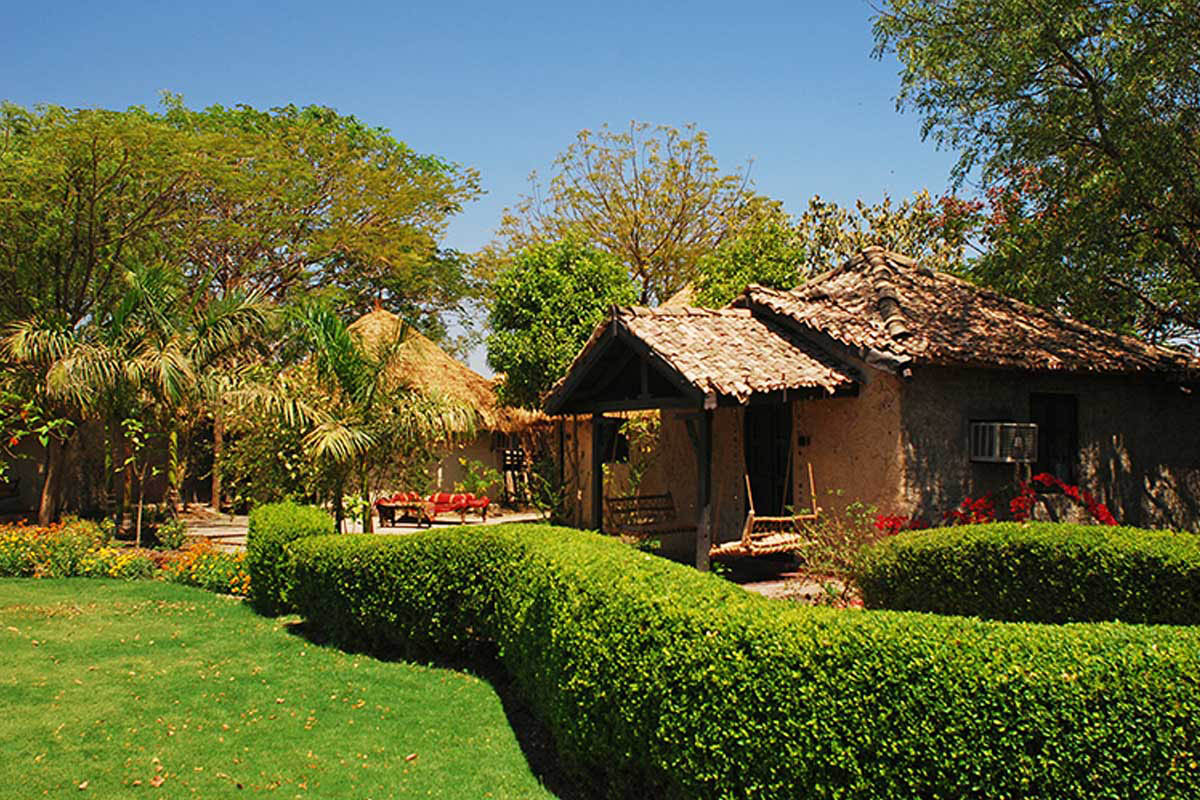 Rann Riders - Little Rann Of Kutch - Gujarat - Icon