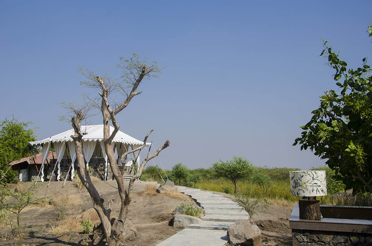 Black Buck Lodge - Velavadar Gujarat - Icon