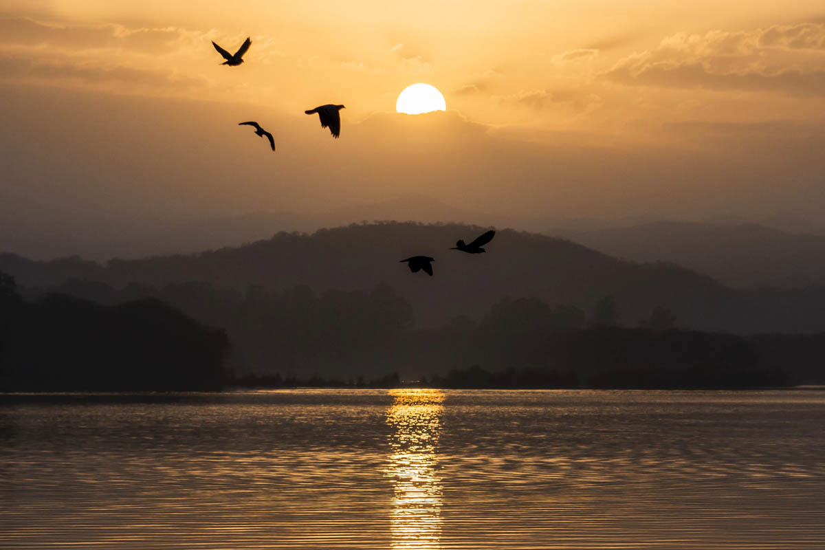 Chandigarh - Northern India - India and Kerala Connections icon