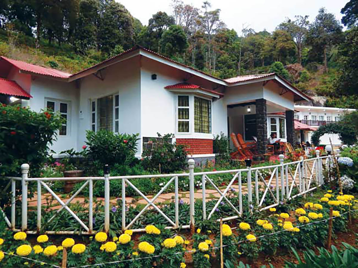 Olive Brook - Munnar - Kerala - Icon