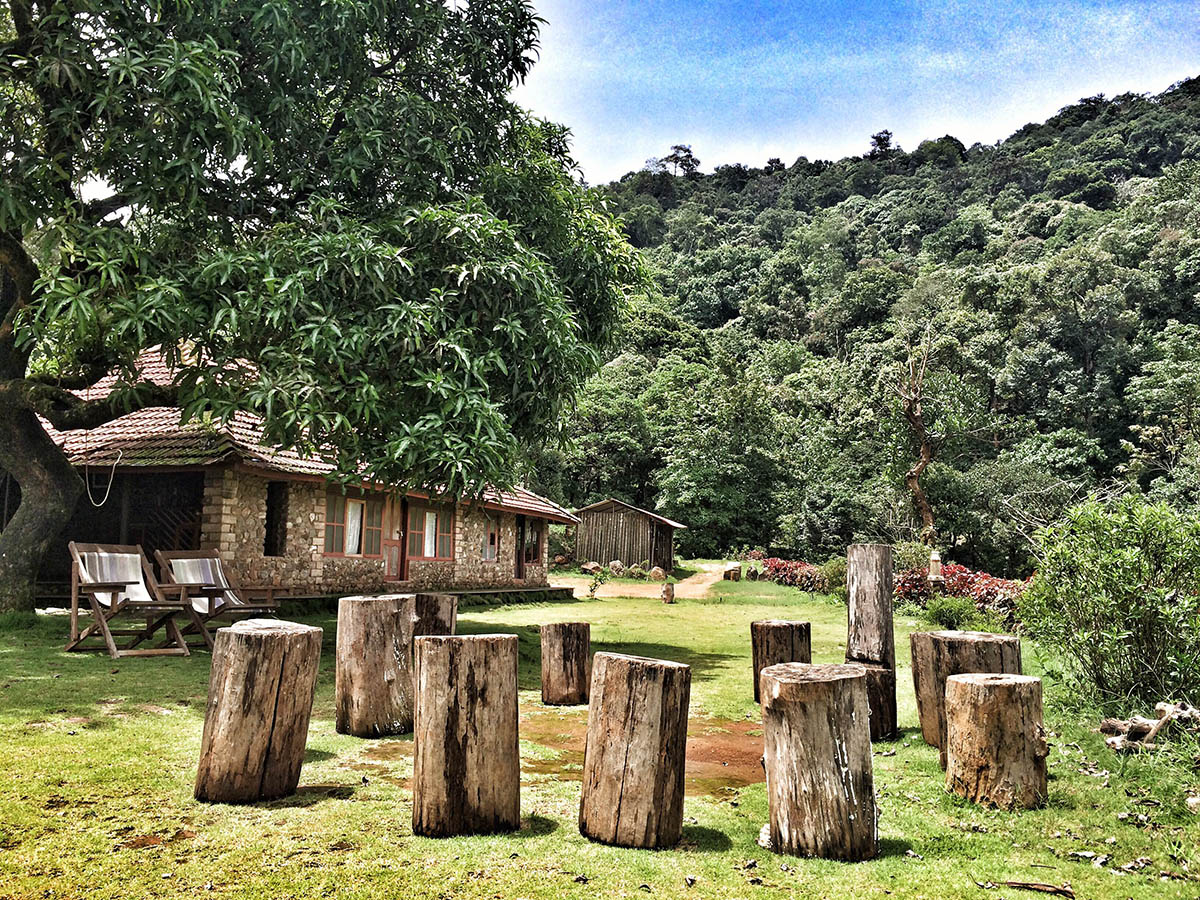 Fringe Ford - North Kerala - Wayanad - Icon