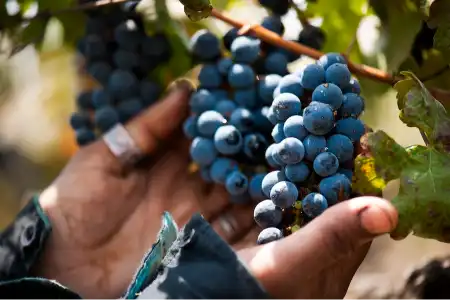 beyond - nashik - icon