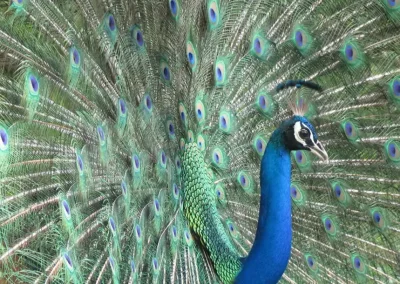 Hampi's Boulders - Hampi - Image