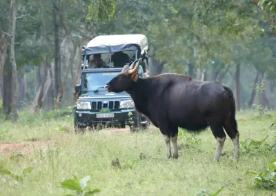 Evolve Back - Kuruba Safari Lodge